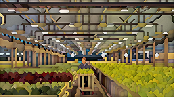 greenhouse