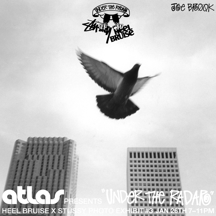 UTR3_IG_brook