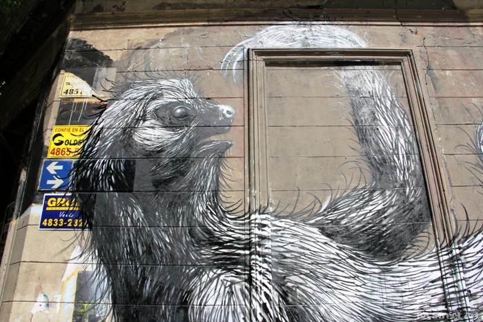 roa-buenos-aires-buenosairesstreetart.com-street-art-1