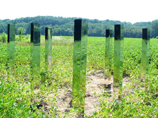 BrendanDavis_Hidden-Treasures-Field_001-wsm