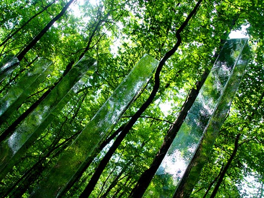 BrendanDavis_Hidden-Treasures-Woods_001-wsm