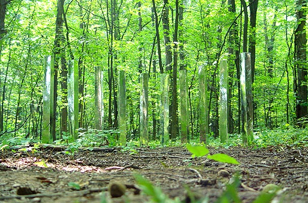 BrendanDavis_Hidden-Treasures-Woods_002-wsm