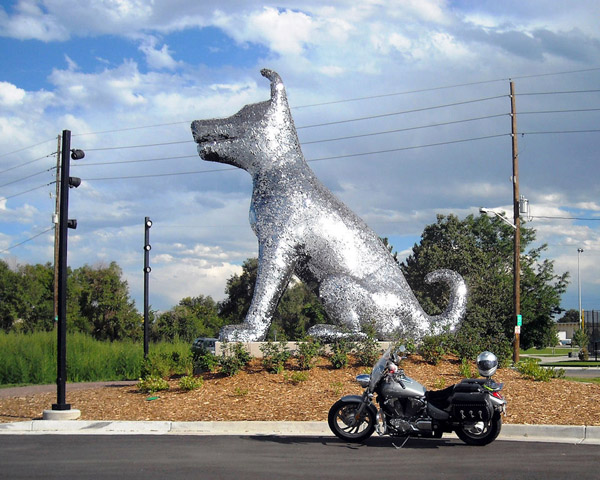 jux_dog5