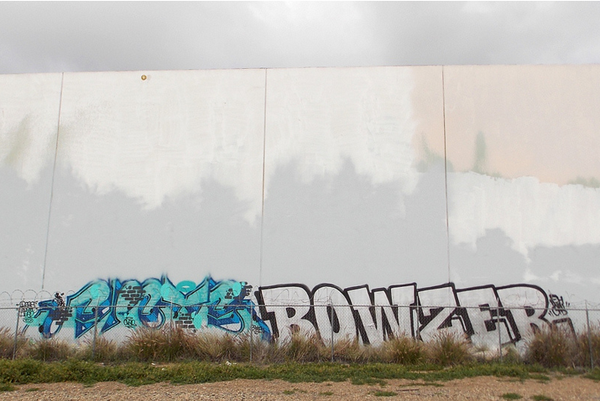 jux_fuct_bowser1
