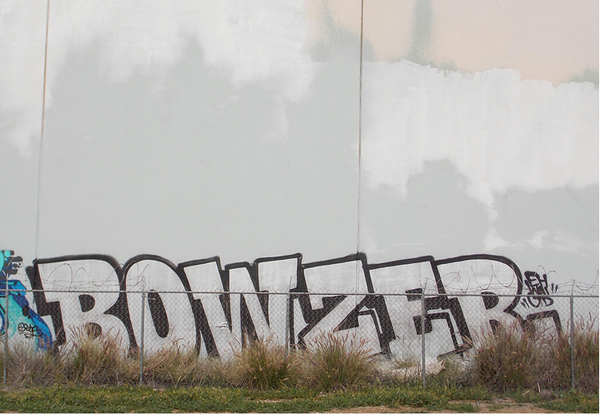 jux_fuct_bowser3