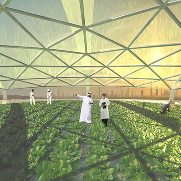 jux_dubai_farms4