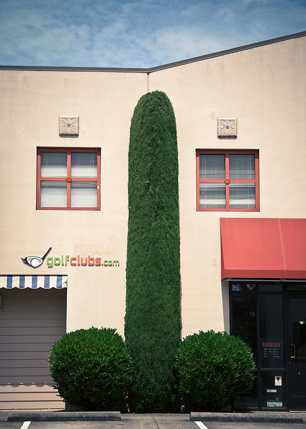 jux_penis_bush