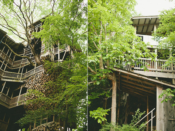 jux_treehouse2