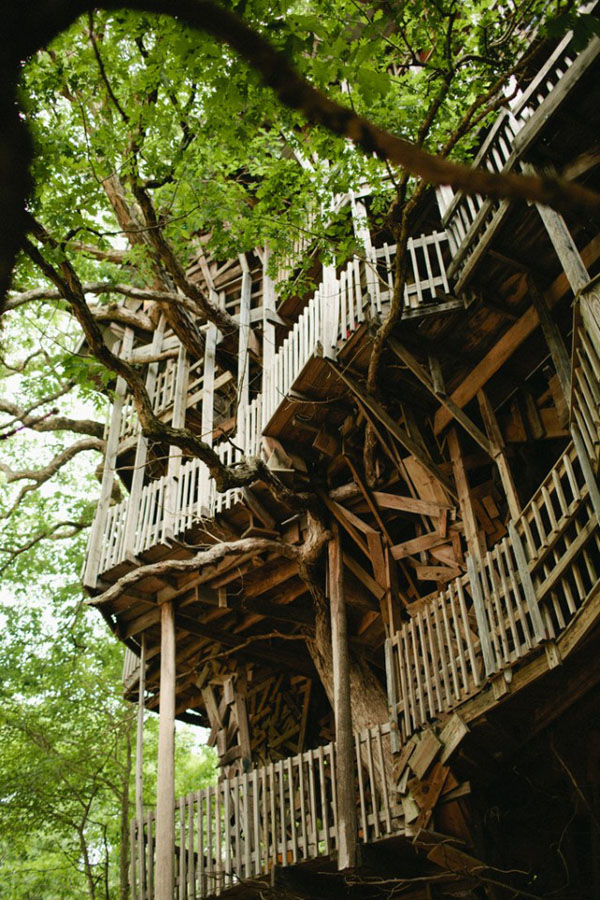jux_treehouse4