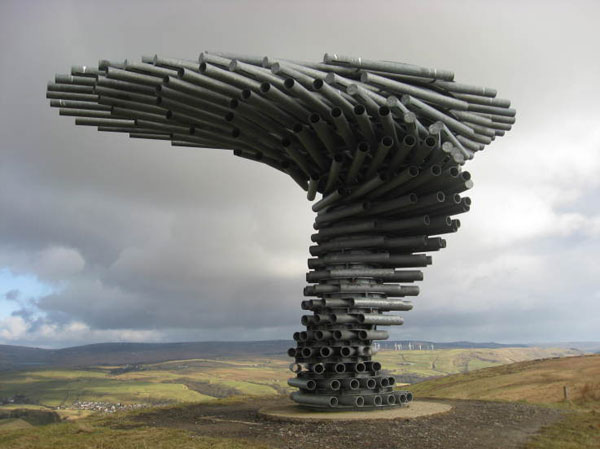 jux_wind_tree