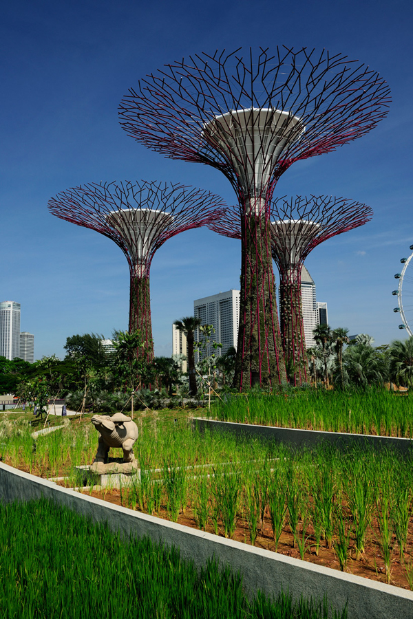 jux_garden_by_the_Bay5