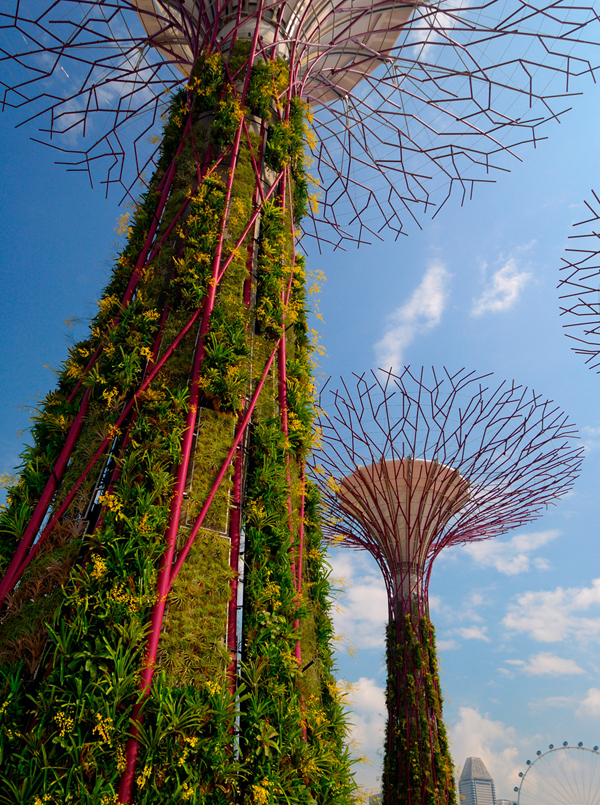 jux_garden_by_the_Bay6