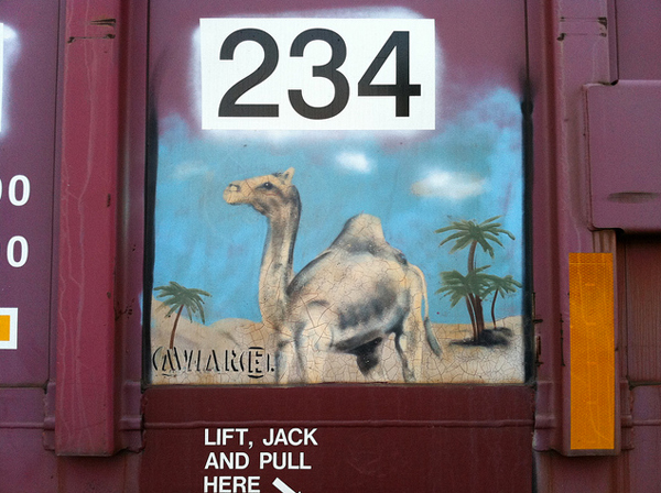 jux_camel