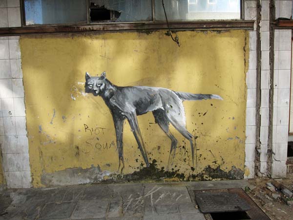 jux_theflopbox_iartjoburg12