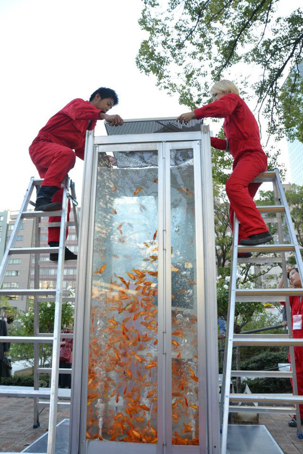 jux_goldfish4