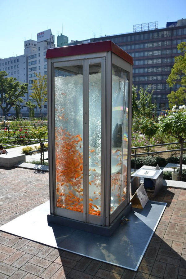 jux_goldfish5