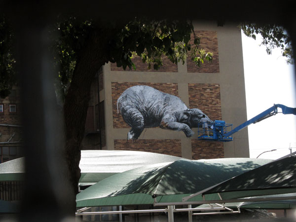 jux_theflopbox_iartjoburg26