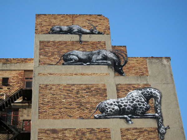 jux_theflopbox_joburg20