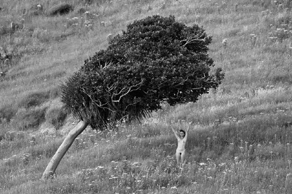 05620copy_64