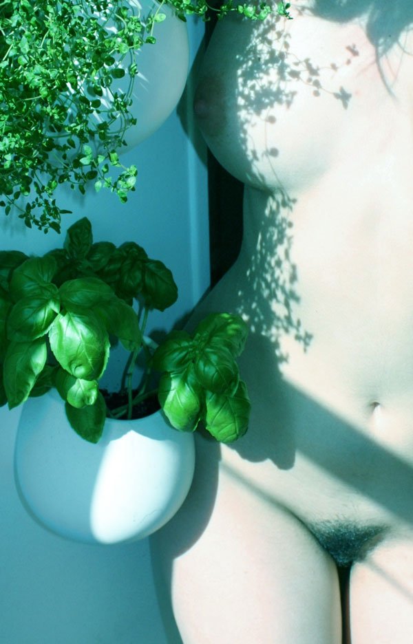 basil2