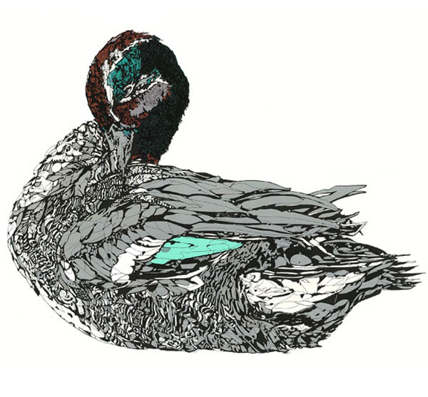 duck