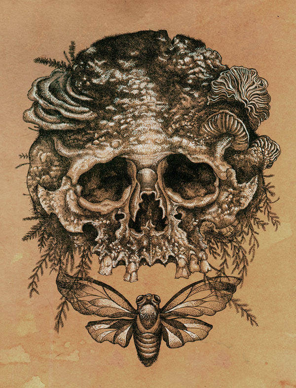 SkullandCicadaCoffeeSM