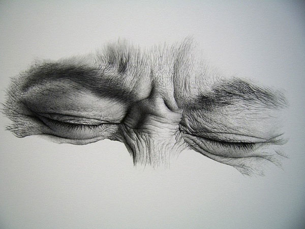 eye
