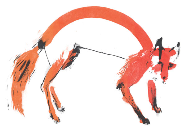 fox_4_00