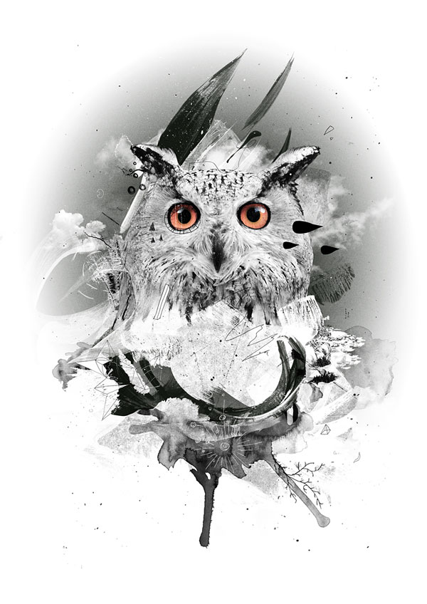 owl2