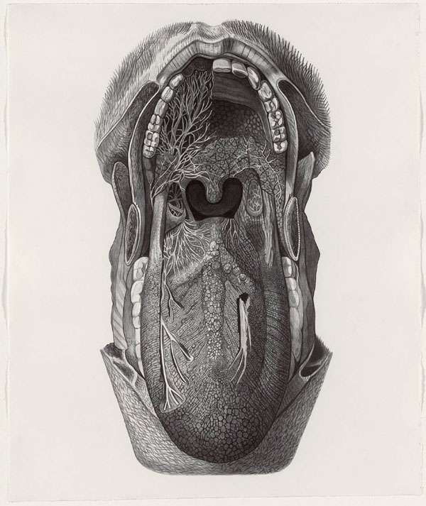 mouth_37_900