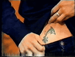 tumblr_lsqcsmGiOr1qc96xoo4_250