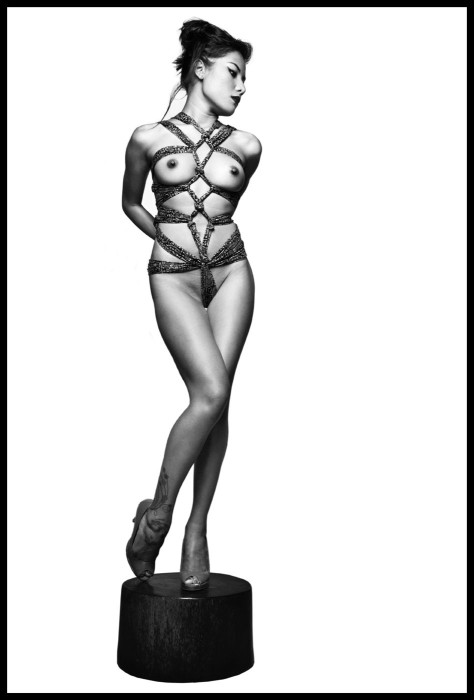 201011071747450.Tin_Soldier_of_Bondage_474_x_700
