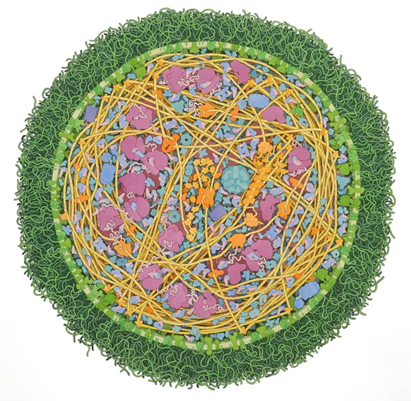 davidgoodsell_thumbbig