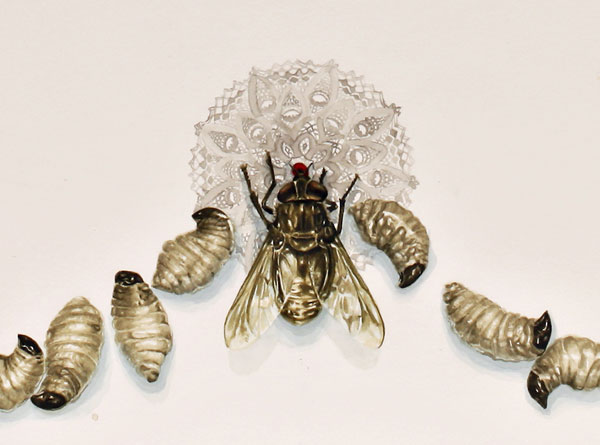 Suckers-Detail