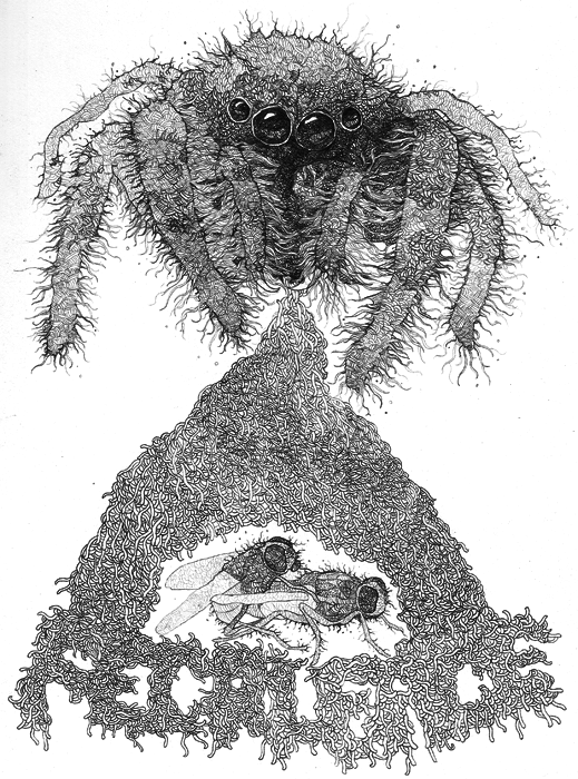 flies