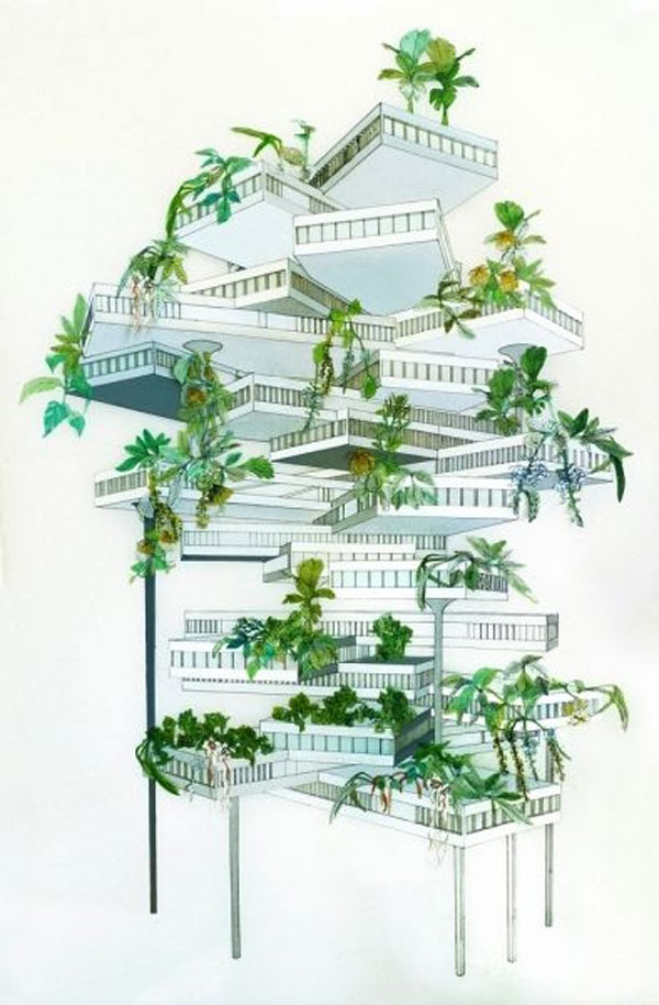 37_reisverticalgardentropical2011
