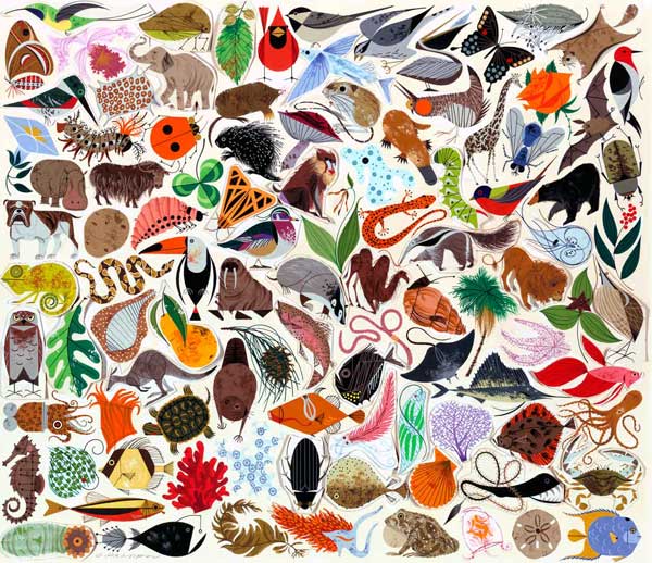 charleyharper_5