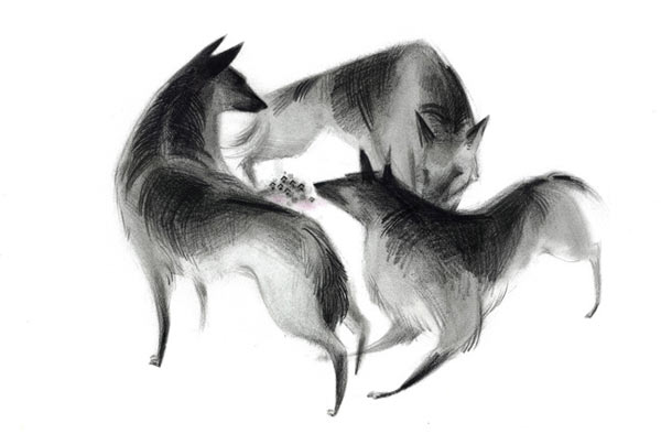 WEB_dogs