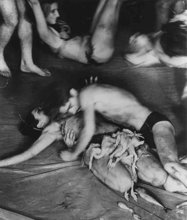 carolee-schneemann