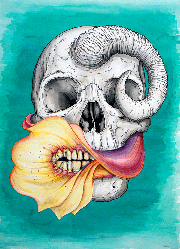 skullsideweb