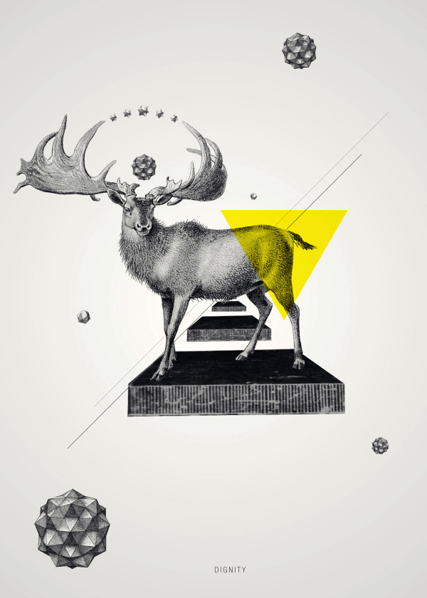 stag