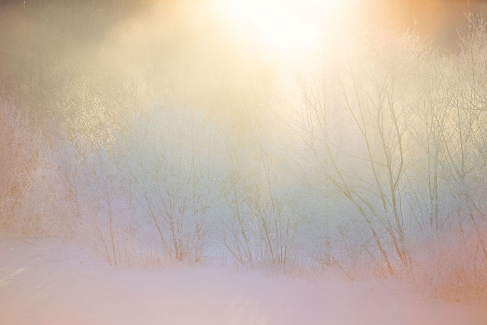 © Rinko Kawauchi