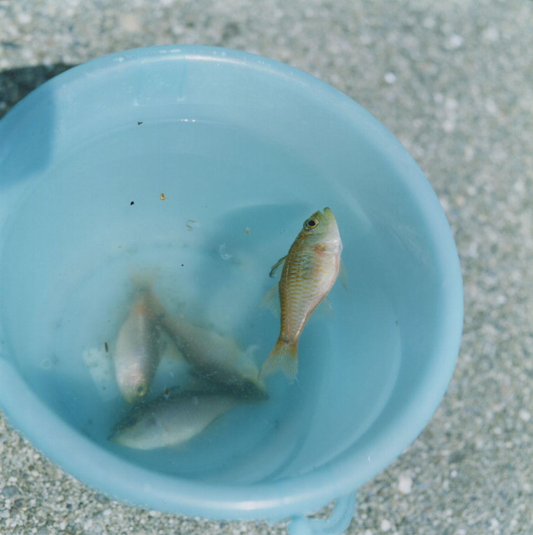 © Rinko Kawauchi