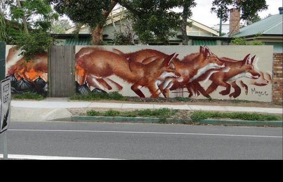 Pack of Wolves by Fintan Magee