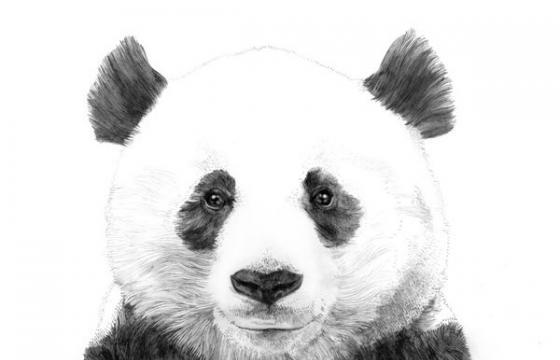 Jamie Mitchell Illustration