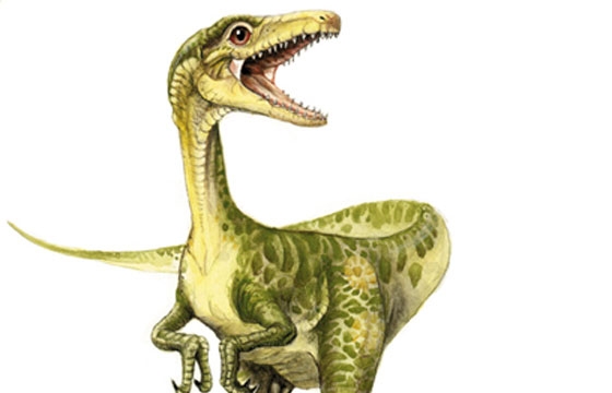 Christoph Hoppenbrock's Mesozoic Creatures