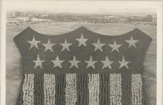 Military Troops Turned Patriotic Symbols