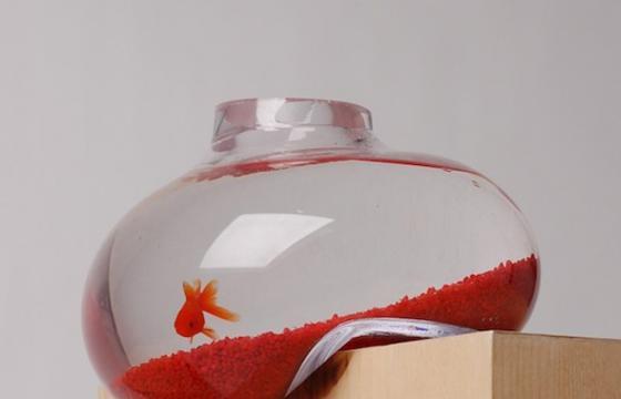 The Distorted Aquarium by Psalt Design