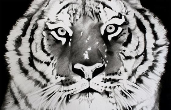 Dain Williams: Threatened