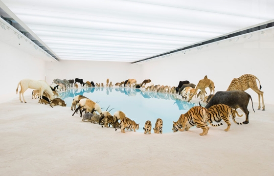 Cai Guo Qiang's "Falling Back to Earth" @ Queensland GOMA